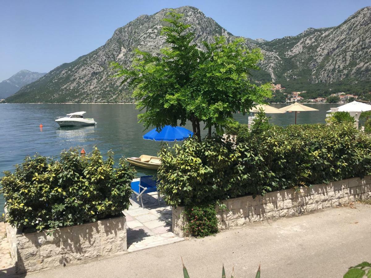 Ljuta Studios Kotor Exteriér fotografie